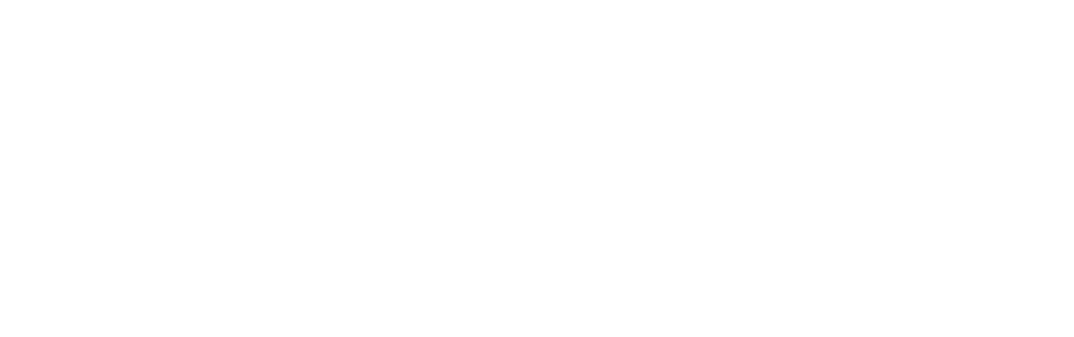 Weißes Hanse Logo mit Hanse Kogge und Hanse Schriftzug